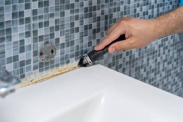 Best Professional Mold Removal  in Mila Doce, TX