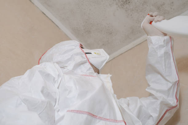 Crawl Space Mold Removal in Mila Doce, TX